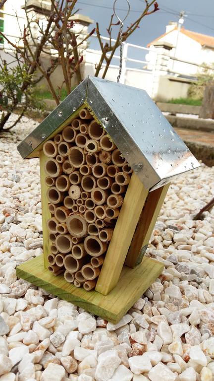 Authentique Gite 1950 Poitiers Futuroscope Aquascope, 1A9Prsn, 3 Pkg, 3 Etoiles A 6Prsn Et 3 Appoints Eco-Responsable Bagian luar foto